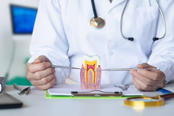 Emergency Dentist for Special Needs Patients